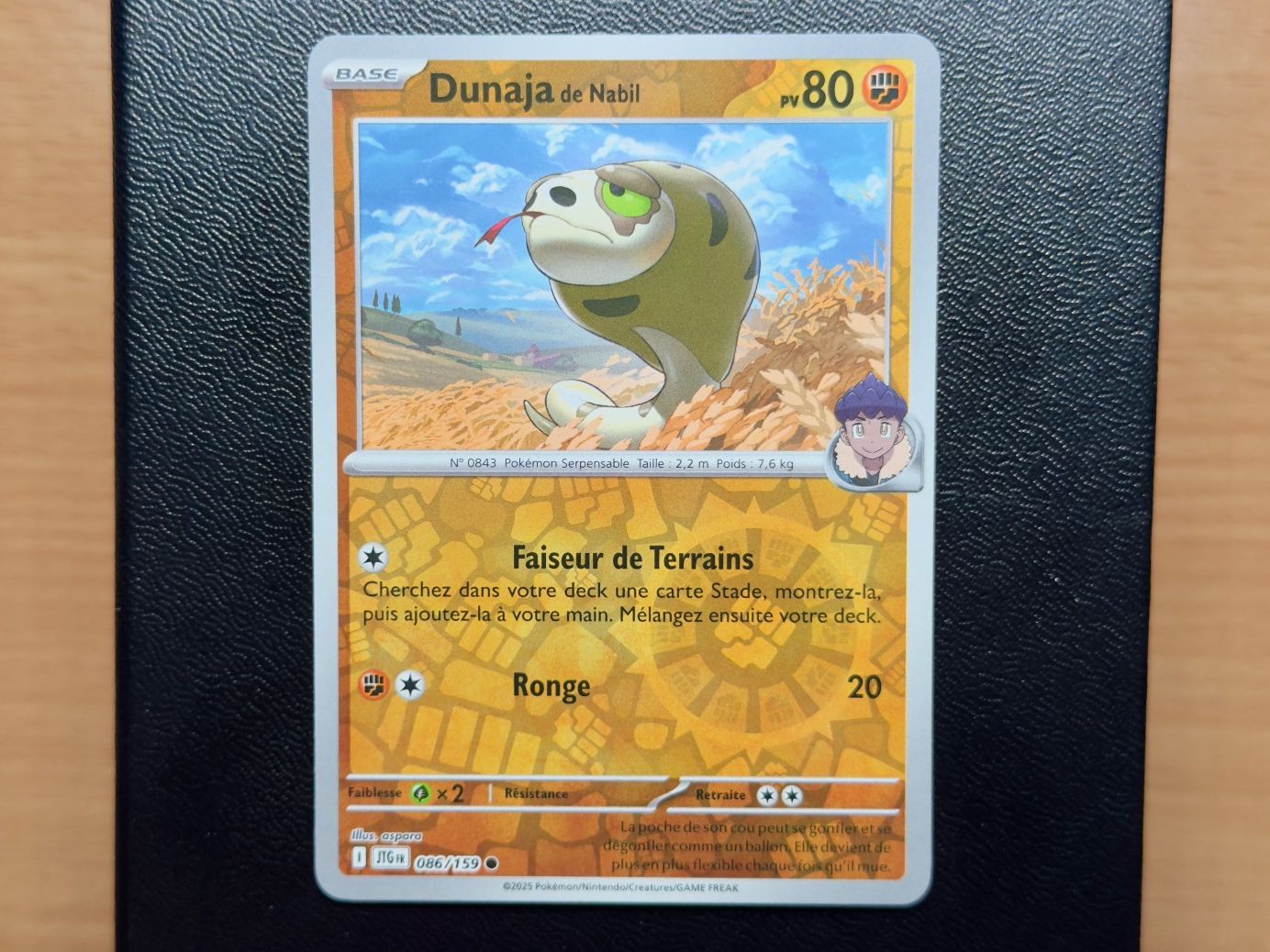 Pokémon Sammelbilder & Trading cards: Dunaja Reverse (086/159) - AVENTURES ENSEMBLE - JTG FR – Gebraucht aus Chézard-St-Martin von Kro_Cards
