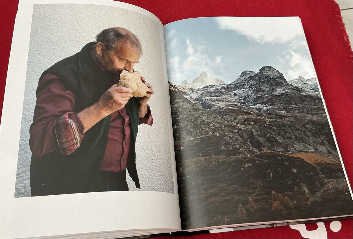 Libri: Das Binntal Exkursionen durch die Zeit - Gerold Koller – Usato da Crans-Montana venduto da plainemorte 7