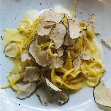 Profile image of Trueffelmaus