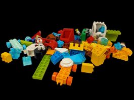 LEGO's DUPLO Mix, 5.2 kg