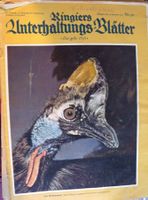 Ringiers Unterhaltungs Blätter Nr.50