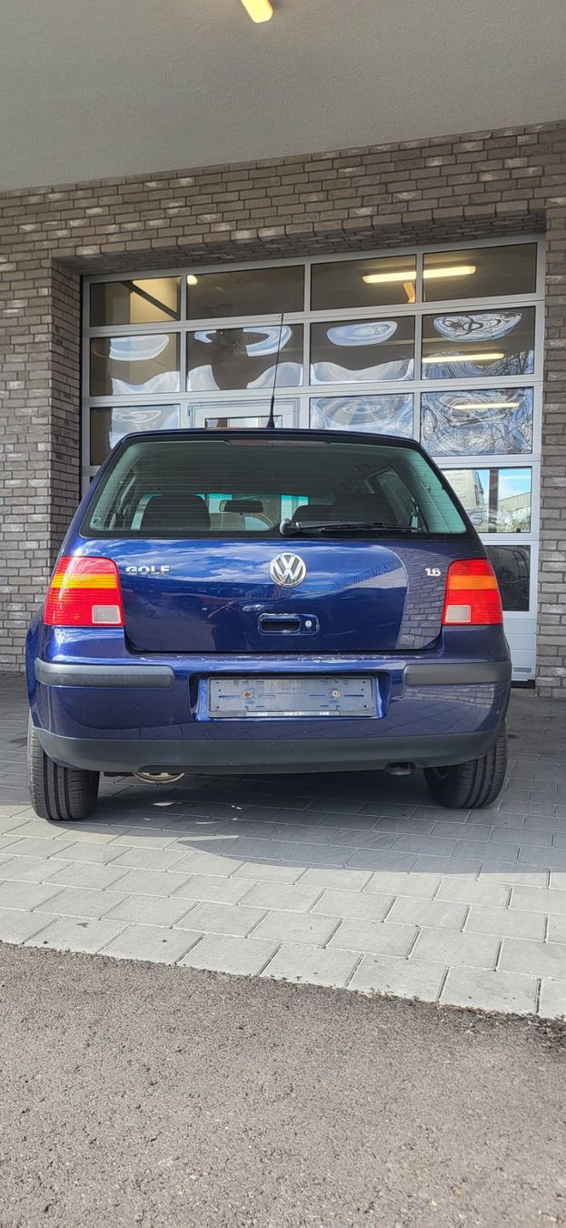 VW Automobili: Golf 4 1,6L. – Usato da Bazenheid venduto da -Nebelschleier- 1