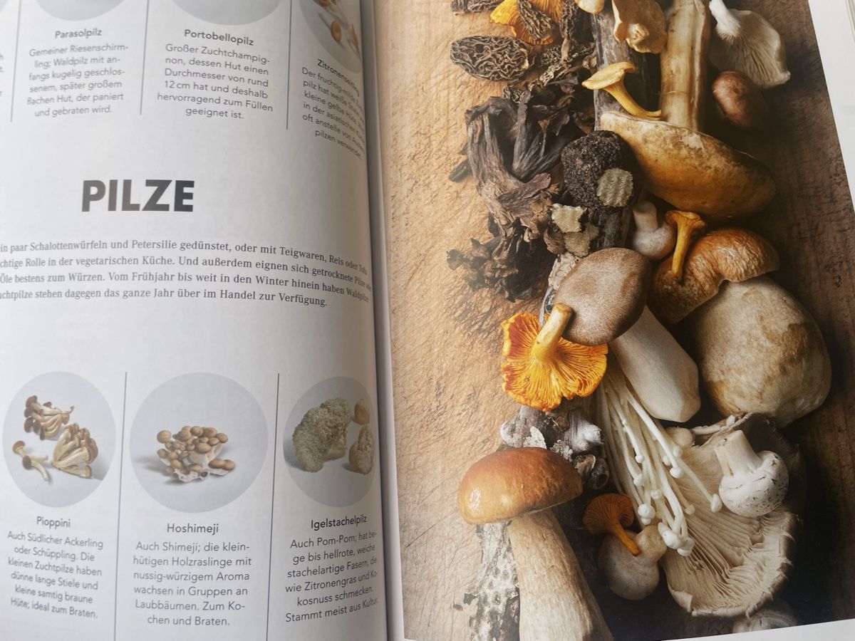 Libri: Teubner VEGETARISCH – Nuovo (secondo la descrizione) da Wildensbuch venduto da Mangosteen7 7