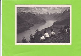 Schweizer Wanderkalender: Am Vierwaldstättersee--belebt