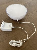 Philips Hue Go Lampe