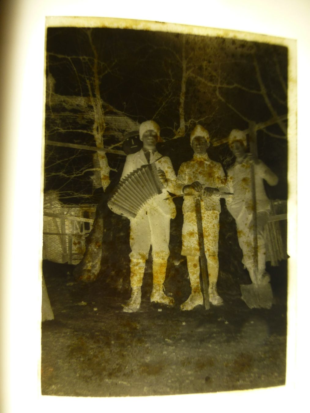 Foto Vegativ 9 mal 6 cm Flexiblem Film aus dem 1930er Jahr (Gebraucht