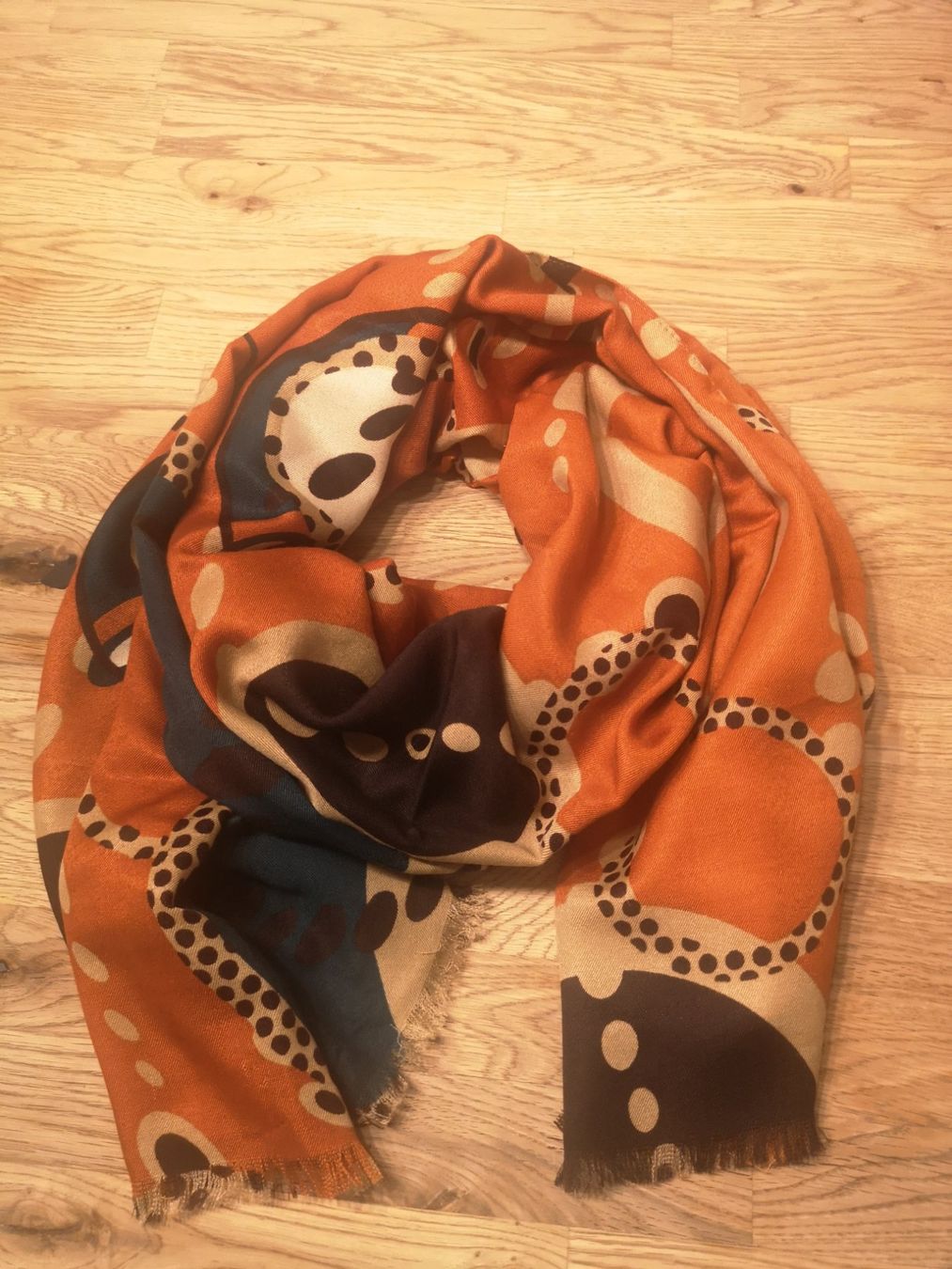 Foulard & Sciarpe: Neu Schal 165×65 – Nuovo (secondo la descrizione) da Forch venduto da Hakyboss