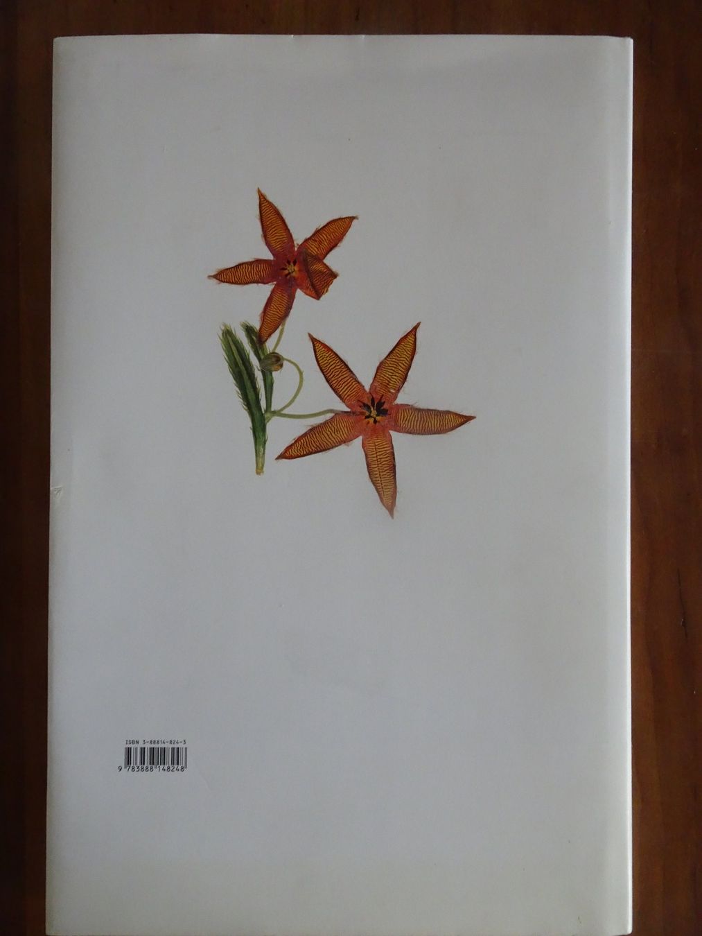 Libri: Nick Knight, FLORA – Usato da männedorf venduto da purzelchen 1