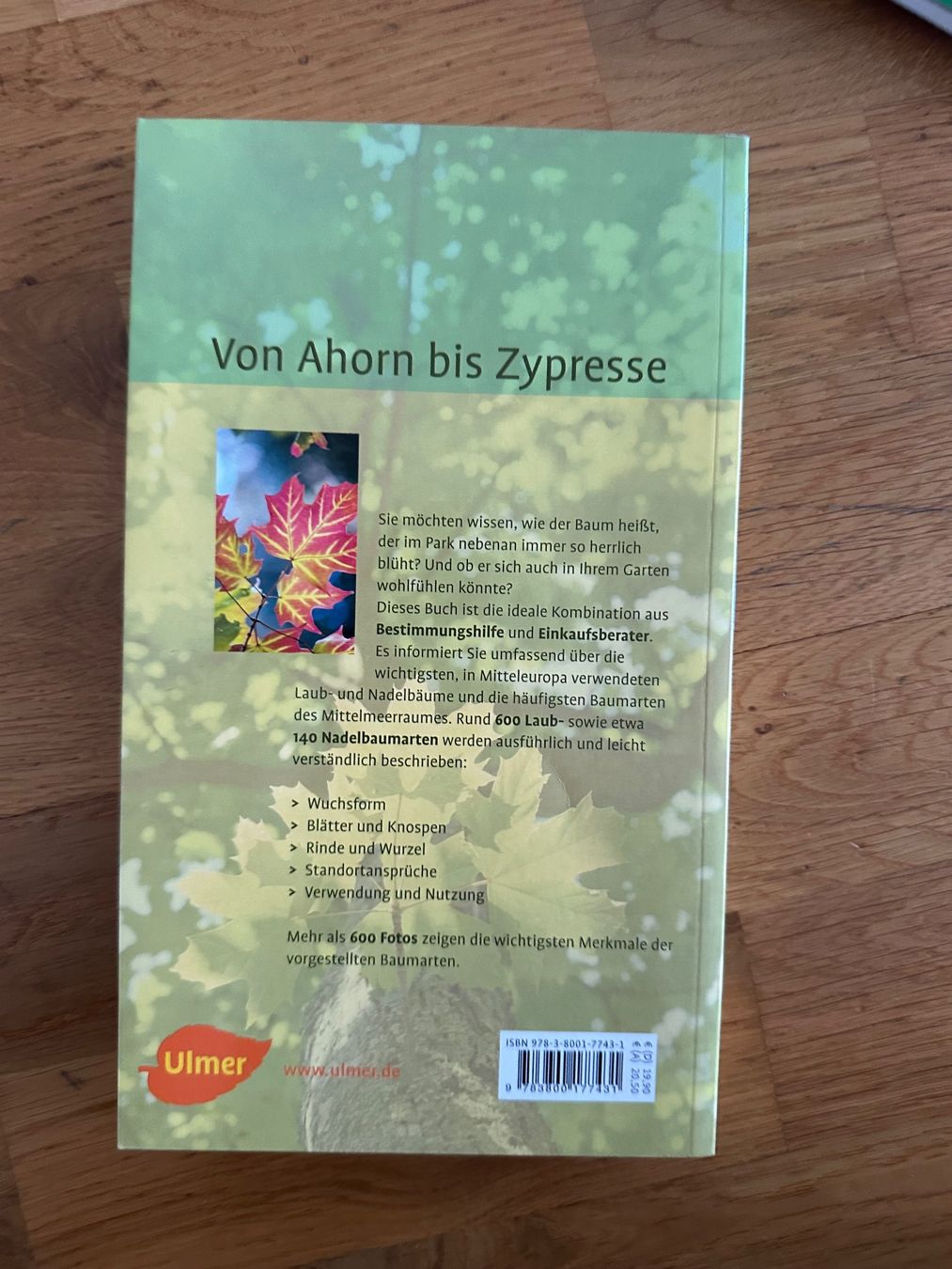 Libri: Buch Bäume von A-Z – Nuovo (secondo la descrizione) da Mönchaltorf venduto da Trider 1