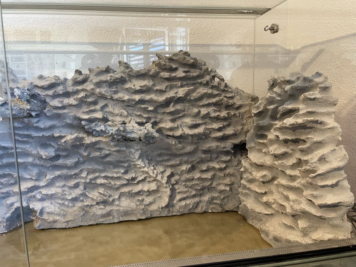 Terrario: Terrarium 120x50x60cm – Usato da Buttwil venduto da iri_s 4