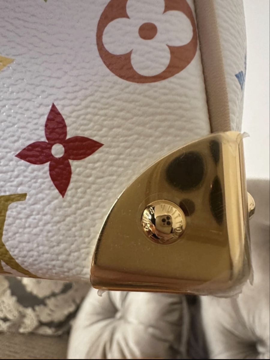 Louis Vuitton Borse da donna: Louis Vuitton x Murakami speedy neu – Nuovo e nell'imballaggio originale da Kilchberg ZH venduto da cruella 7
