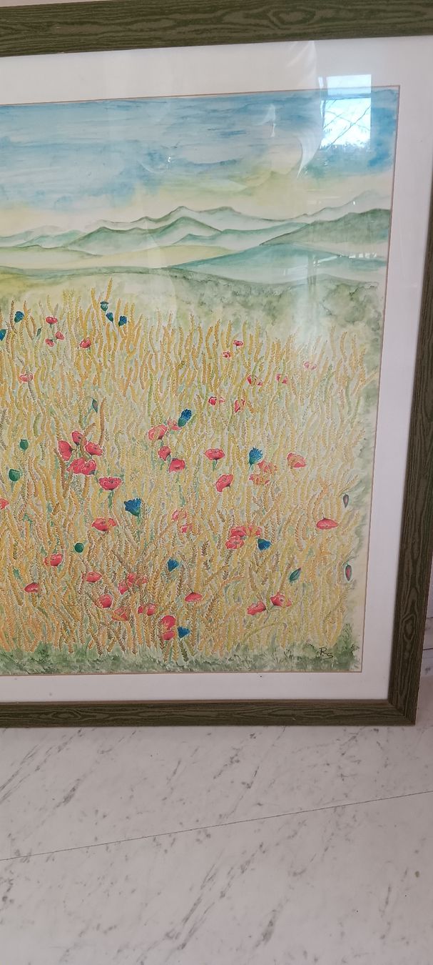 Dipinti: Wunderschönes Aquarell-Gemälde mit Rahmen, Sommerwiese – Usato da Seuzach venduto da jennifer05