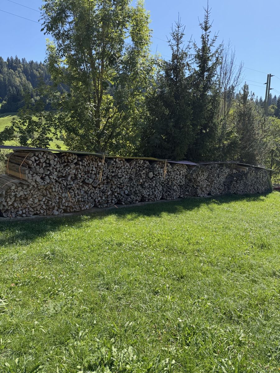 Articoli in legno: Brennholz in Sterbündel  – Usato da Escholzmatt venduto da Angelo8110