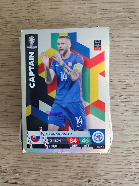 Panini Carte collezionabili: 55 Panini SammelKARTEN – Usato da Luzern venduto da SissiN89 4