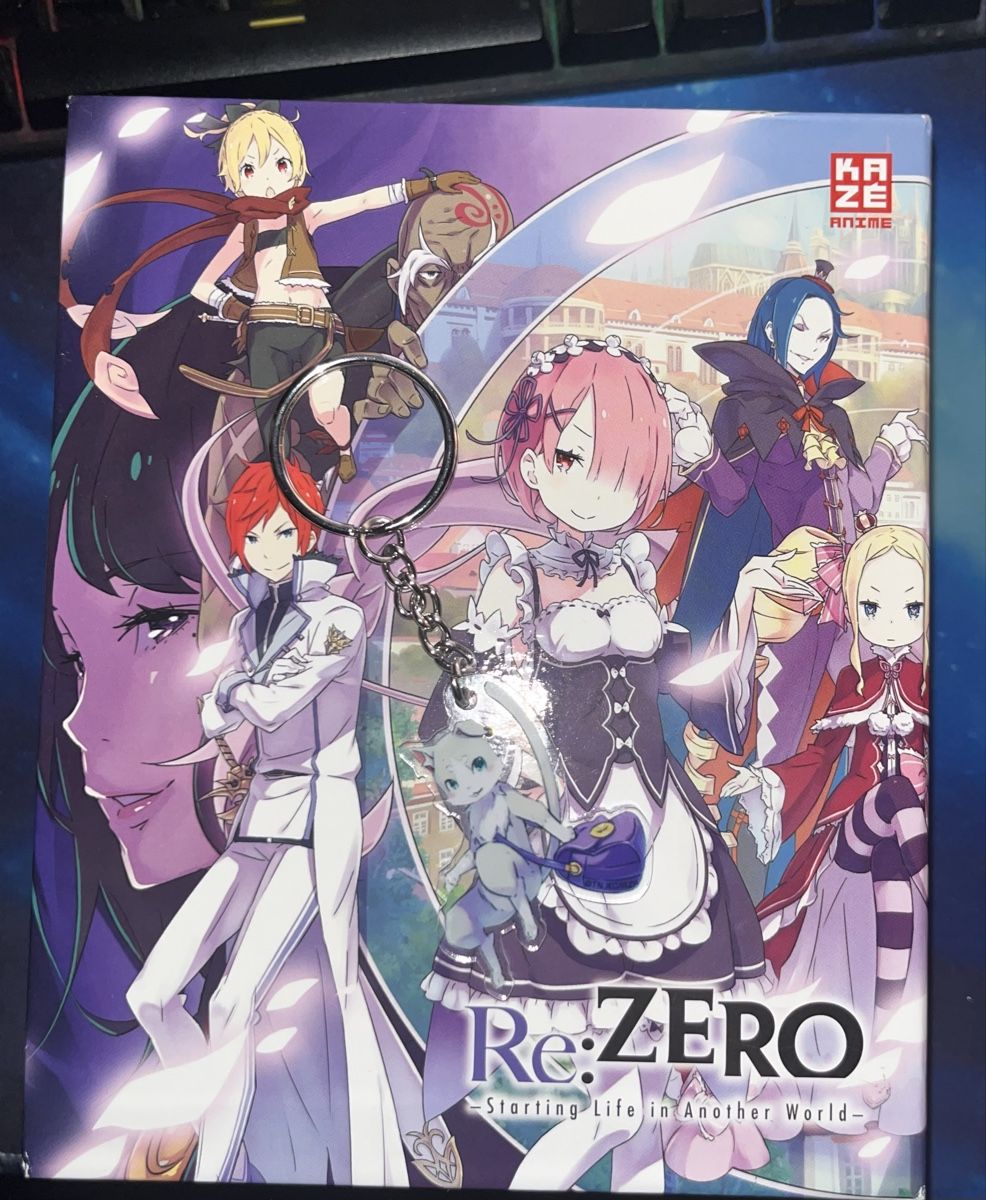 Tutti i DVDs: Re:Zero Anime DVD Folge 1-25 Mit Extra  – Nuovo (secondo la descrizione) da Biberist venduto da sai_bw7l 1