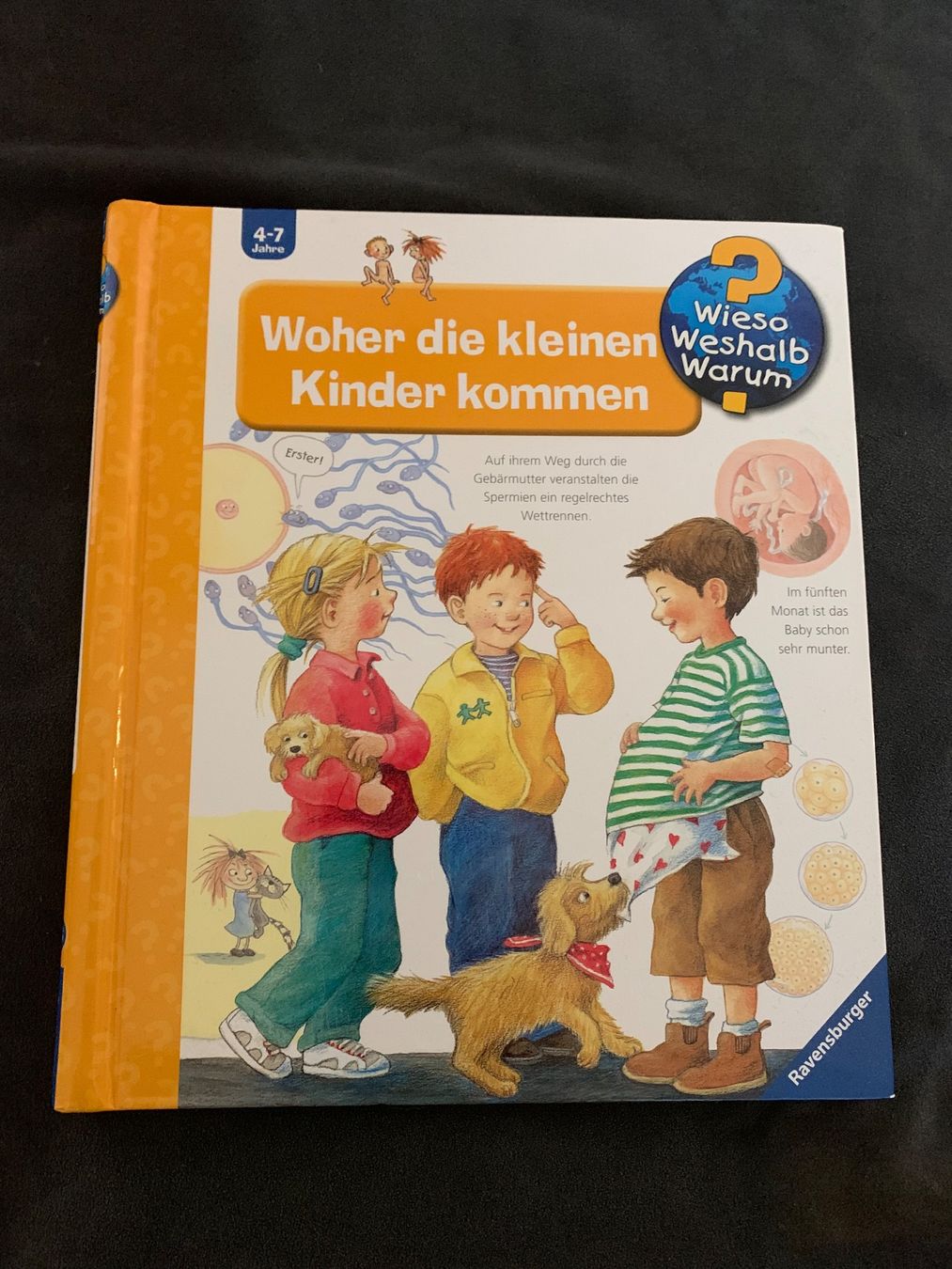 Bücher: Buch Wiso weshalb Warum – Gebraucht aus Konolfingen von Smorgi