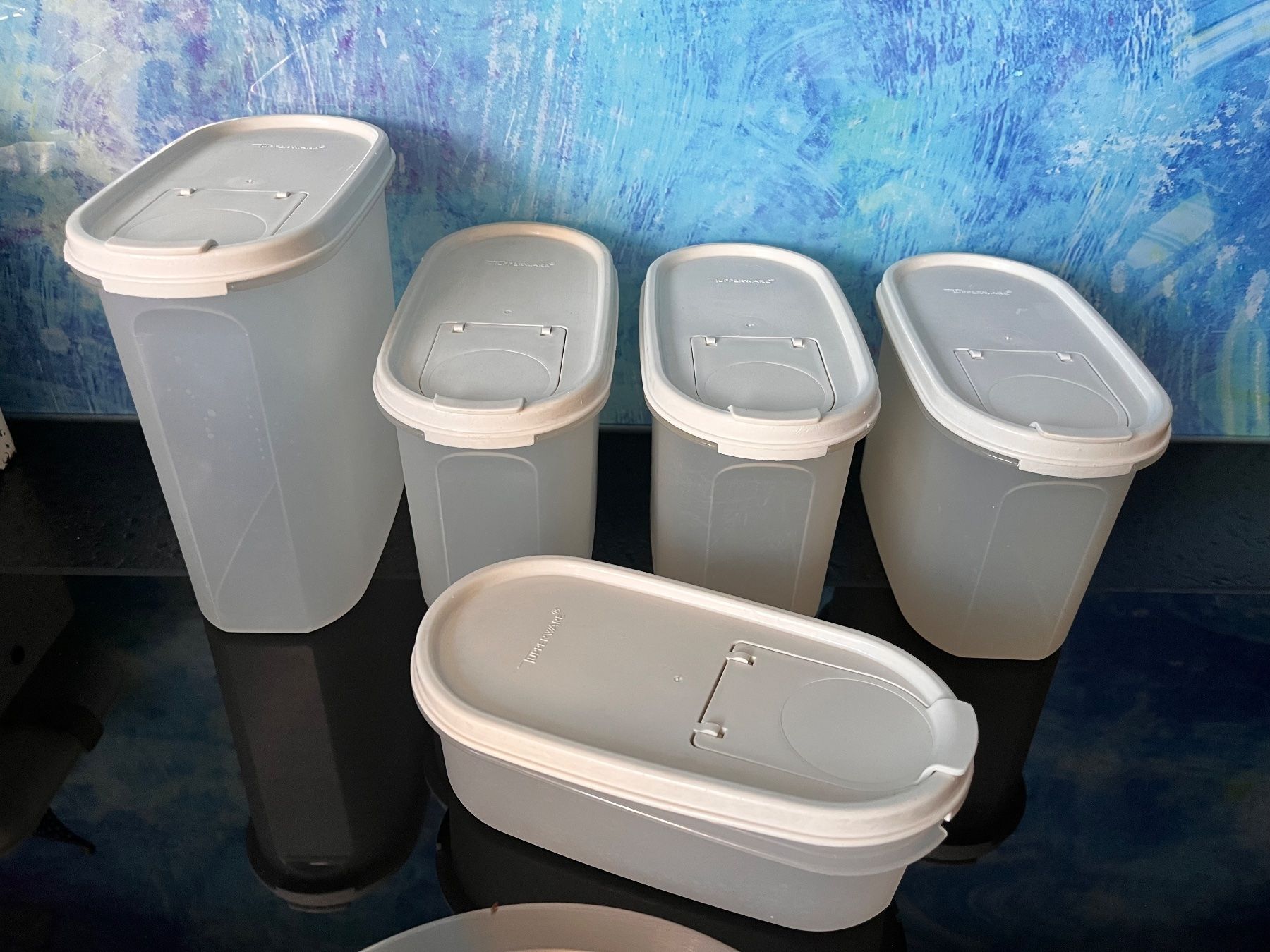 Tupperware Contenitori & Simili: Tupperware Vorratsbehälter Tupper Behälter Küchenartikel – Usato da Frauenfeld venduto da Babytimmy