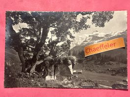 1932 4131 Kiental. Steinenberg, Morgenhorn - Wilde Frau