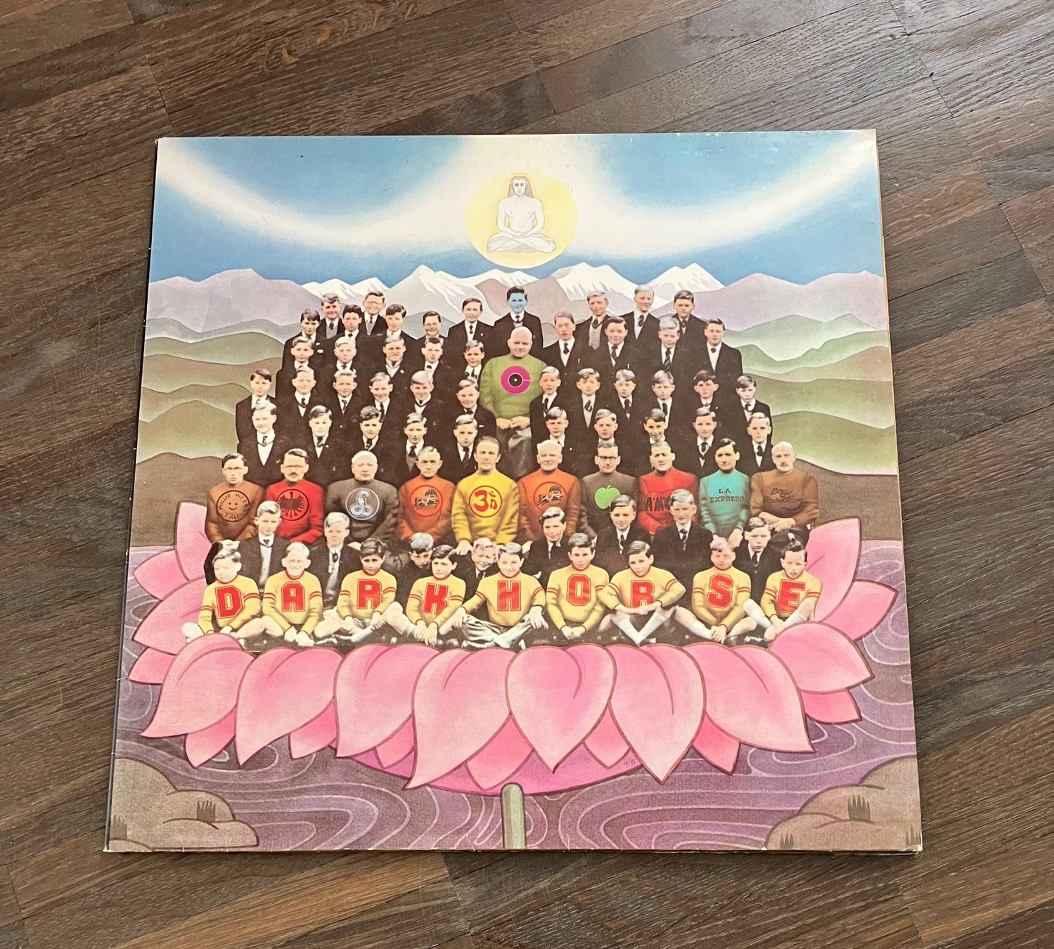 Dischi in vinile: GEORGE HARRISON - DARK HORSE – Usato da steffisburg venduto da Dstauffer