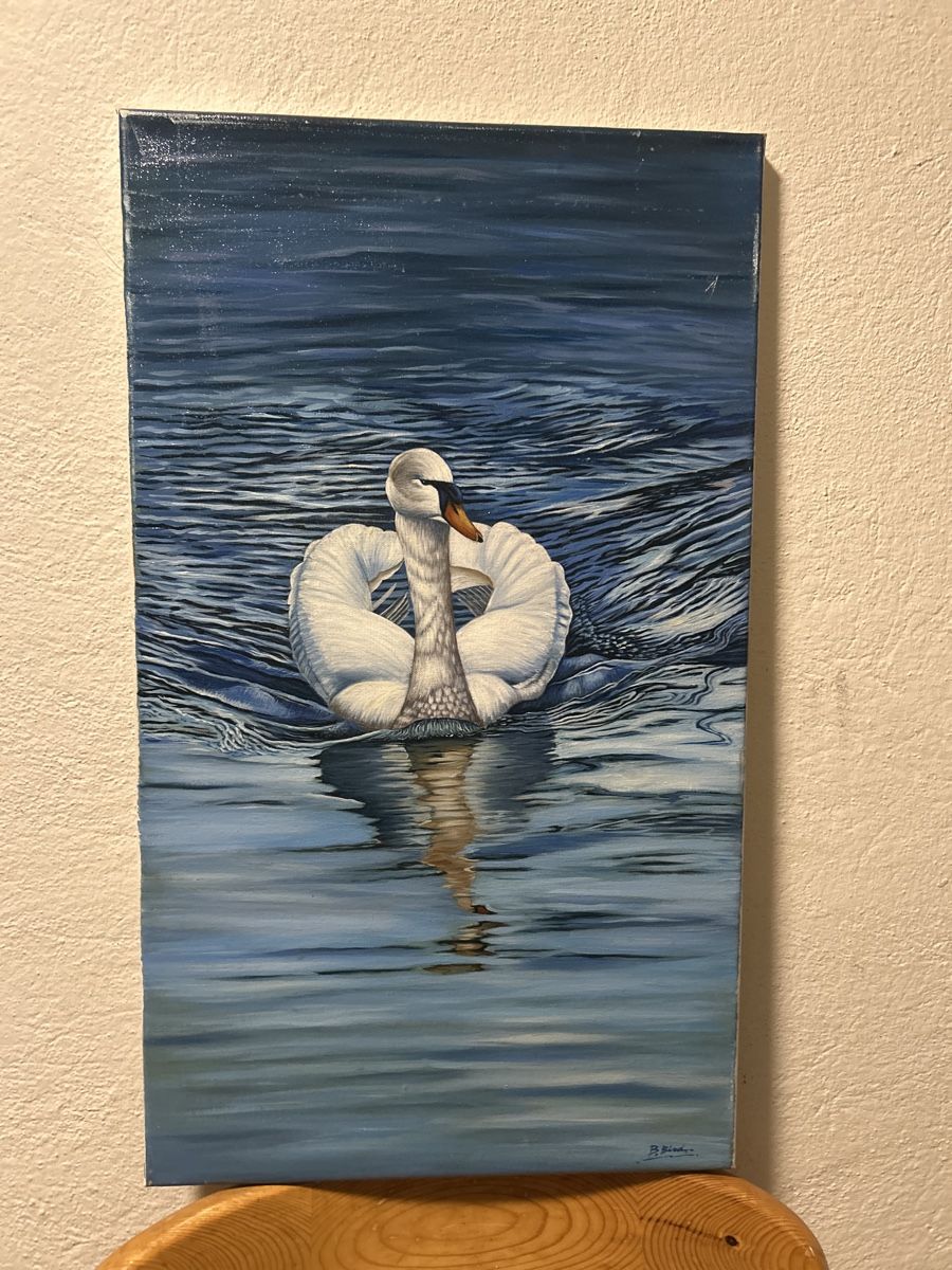Dipinti: Gemälde "Schwan" signiert- Einzigartig & Handgemalt! – Usato da Glarus venduto da KunstWerkEr-LS87