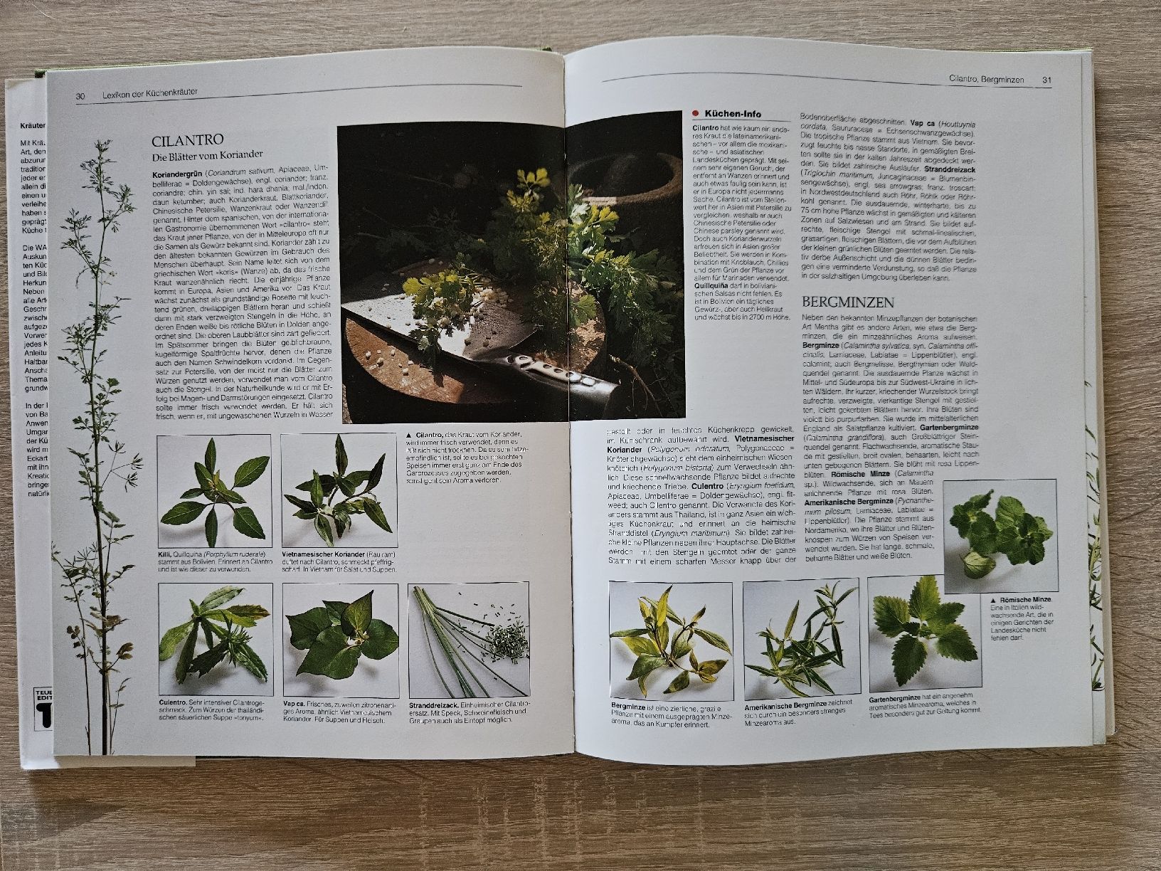 Livres: Kochbuch Kräuter und Knoblauch – D'occasion à Ebikon par SecondChance_byM 5