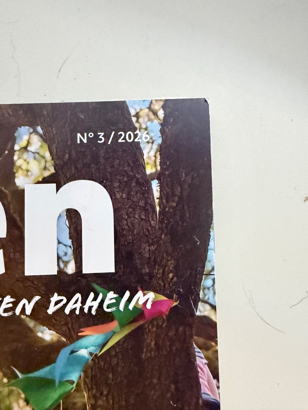 Riviste & Magazine: Magazin Schweizer Garten 03/26 – Usato da Obergösgen venduto da Andre118 1