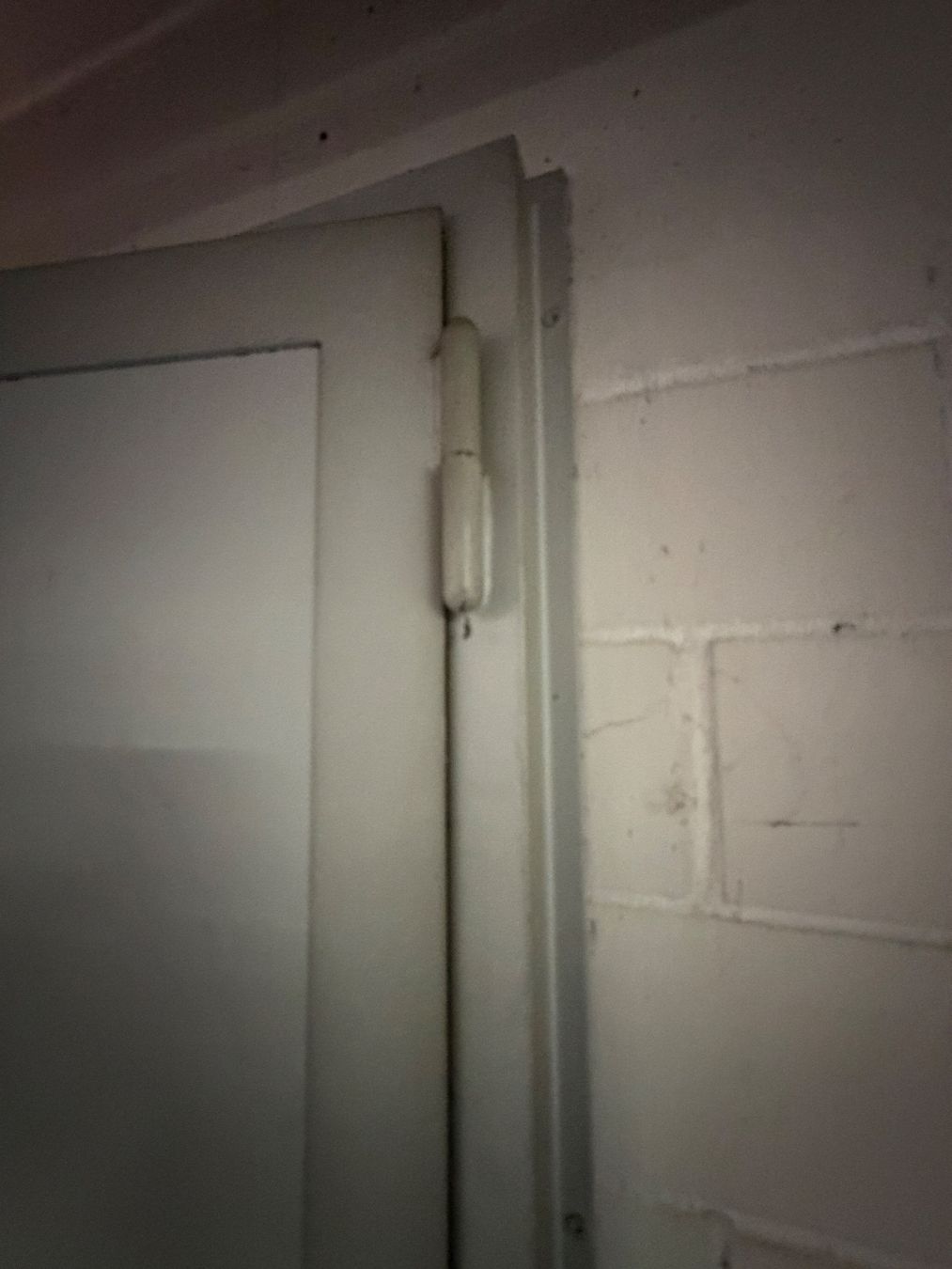 Porte: Metall Türe - 2 Flügel – Usato da Rothrist venduto da Pamosliq 4