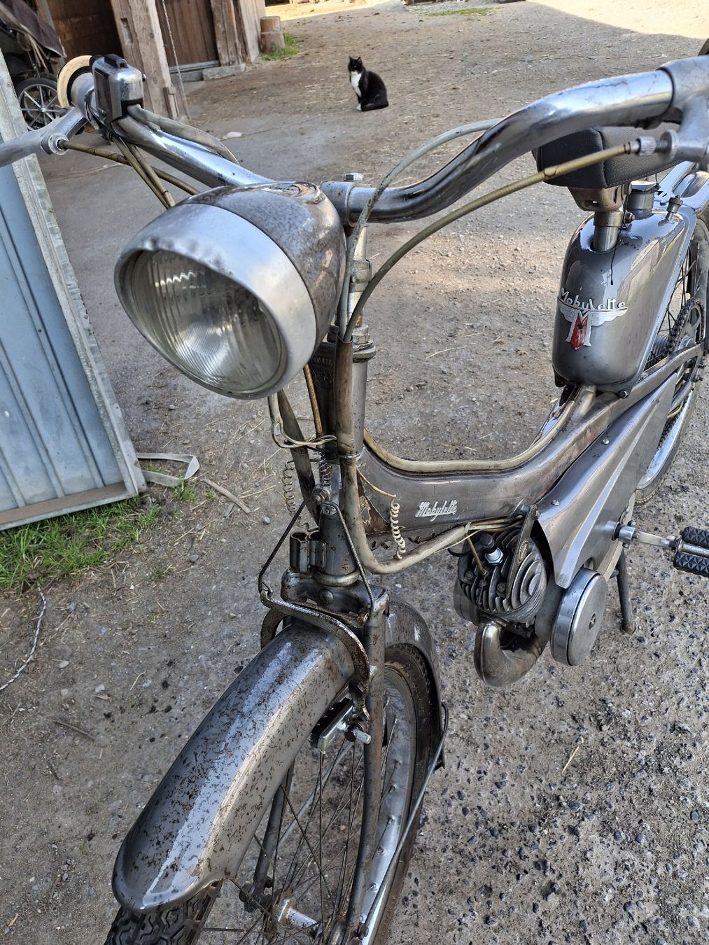 Ciclomotori: Mobylette zu verkaufen – Usato da Oberriet venduto da sch_mpj6 1