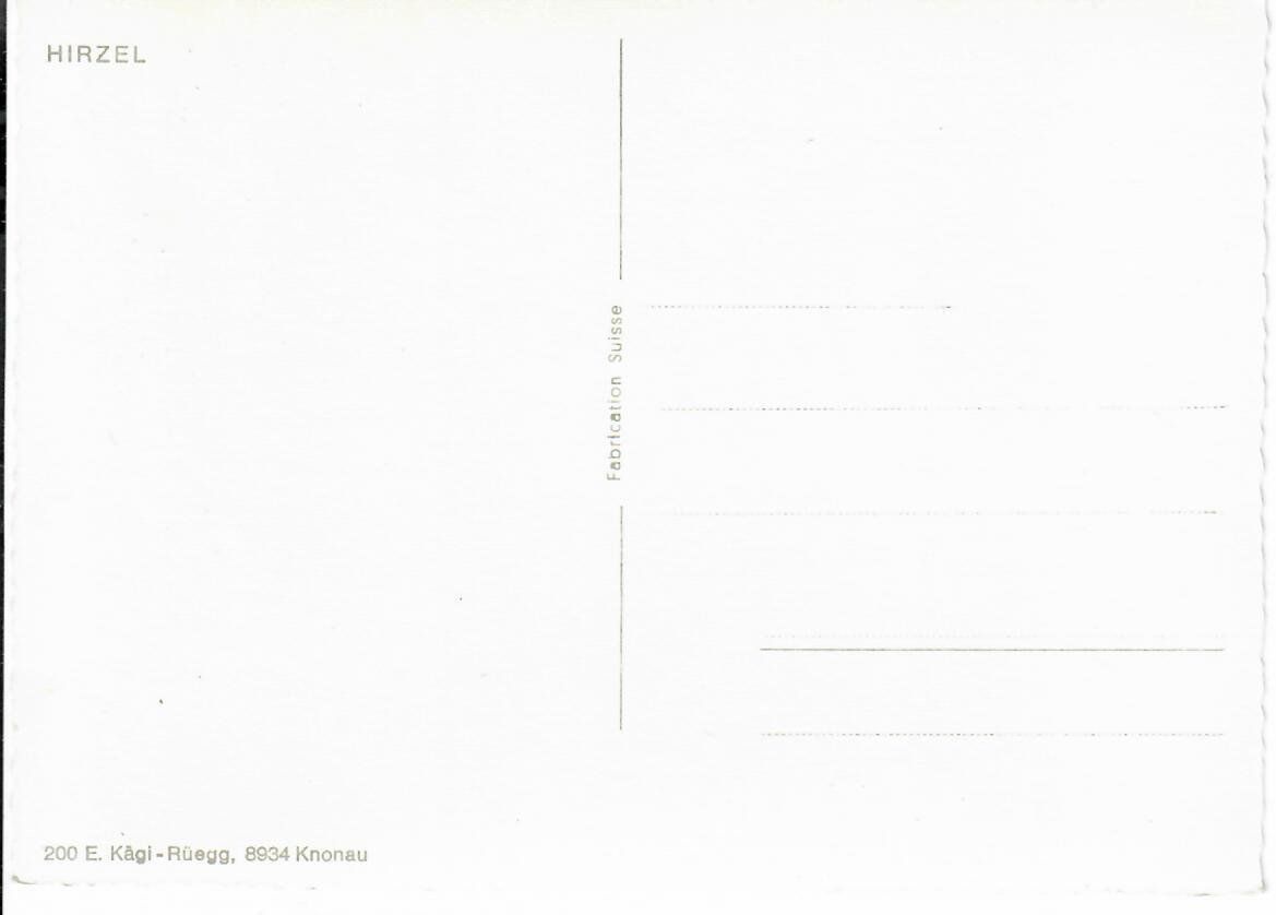 Cartoline postali: Hirzel – Usato da Hochdorf venduto da Ziegel-16 1
