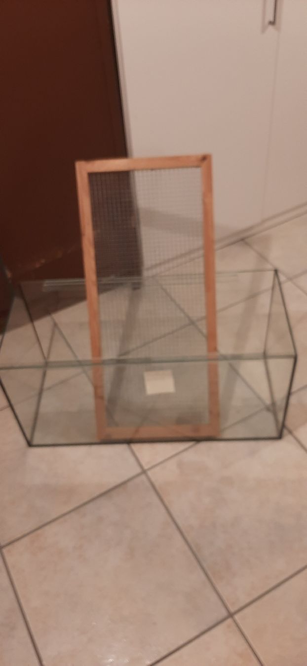 Terrariums: Terrarium klein – D'occasion à Oberhelfenschwil par joesy77 1