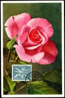 Maximumkarte MK Sinnbild der Frauenarbeit Rose B76 PP 1956