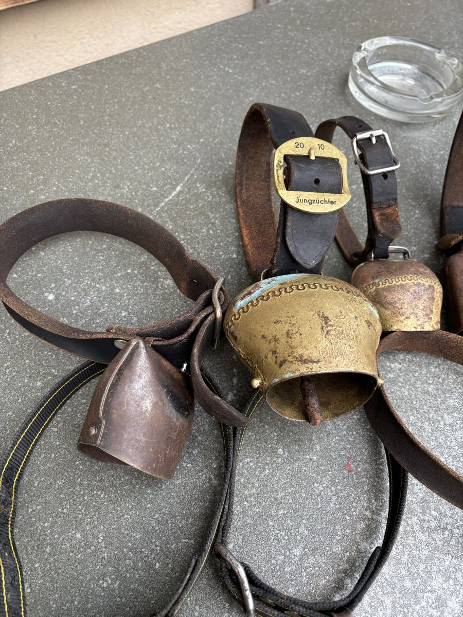 Campanacci mucche: 8 Schaftreicheli – Usato da Schangnau venduto da Roseggli82 5