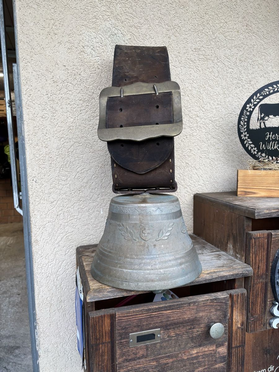 Campanacci mucche: Peter Berger Glocke – Usato da Schangnau venduto da Roseggli82