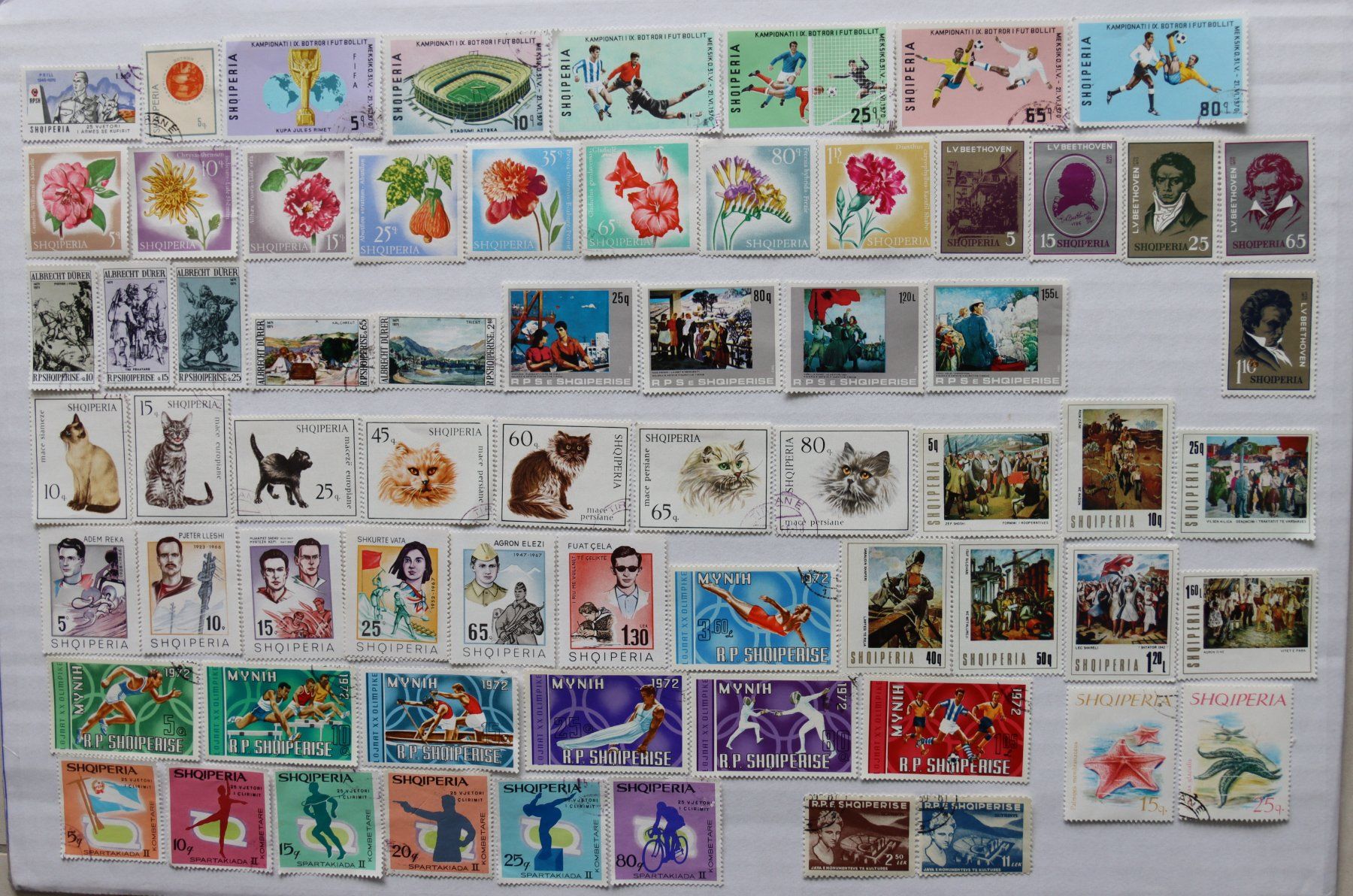 Tutti i francobolli: Briefmarken Albanien – Usato da Oberentfelden venduto da lakipul