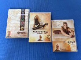 Yoga DVD von Paul Grilley 