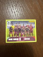 QAT 13