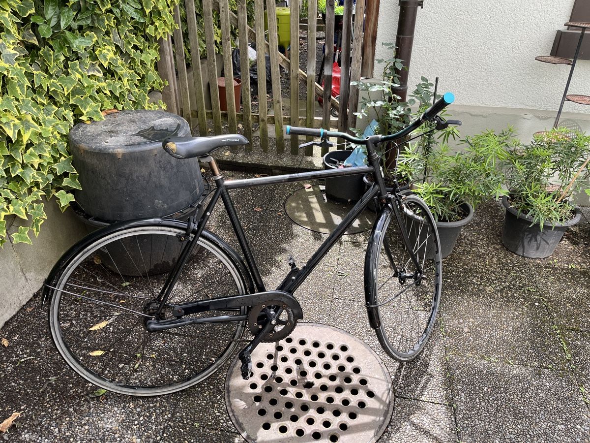 Siech Biciclette: Siech Velo – Usato da Zürich venduto da dtrueb 2