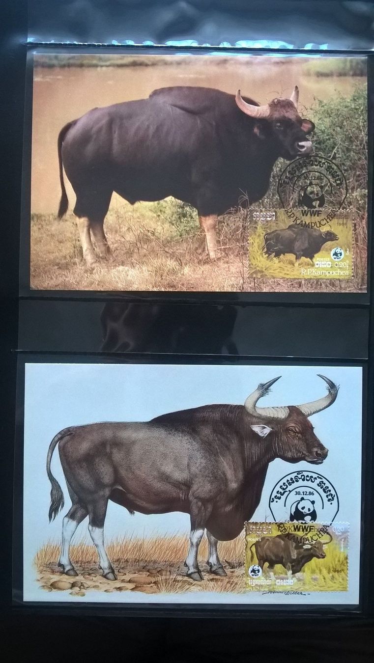Tutti i francobolli: Kambodscha 1986 Satz WWF Wildrinder Maximumkarten – Nuovo (secondo la descrizione) da Liestal venduto da schnueps 1