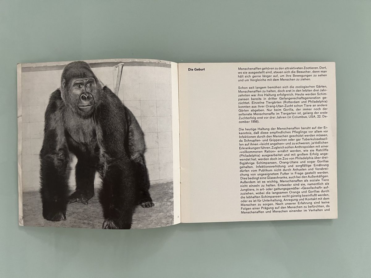 Bücher: Goma Geigy 4 Booklets – Gebraucht aus Renens VD von ale_q6bz 4