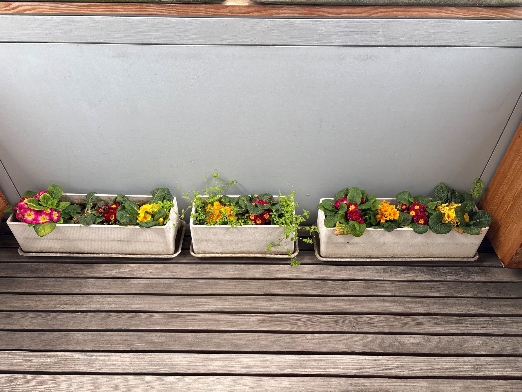 Eternit Vasi per fiori: Blumenkästen Eternit – Usato da Zug venduto da SandraH09 1