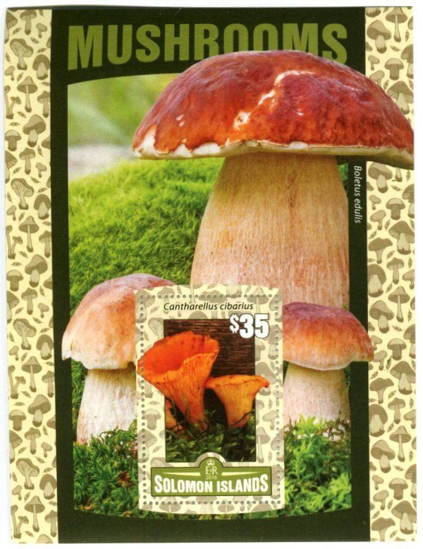 Alle Briefmarken: Block "Pilze". Salomonen – Neu und originalverpackt aus Basel von Butsch5