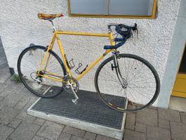 Vintage Gerber Rennvelo Bucher gelb mit Shimano 600 