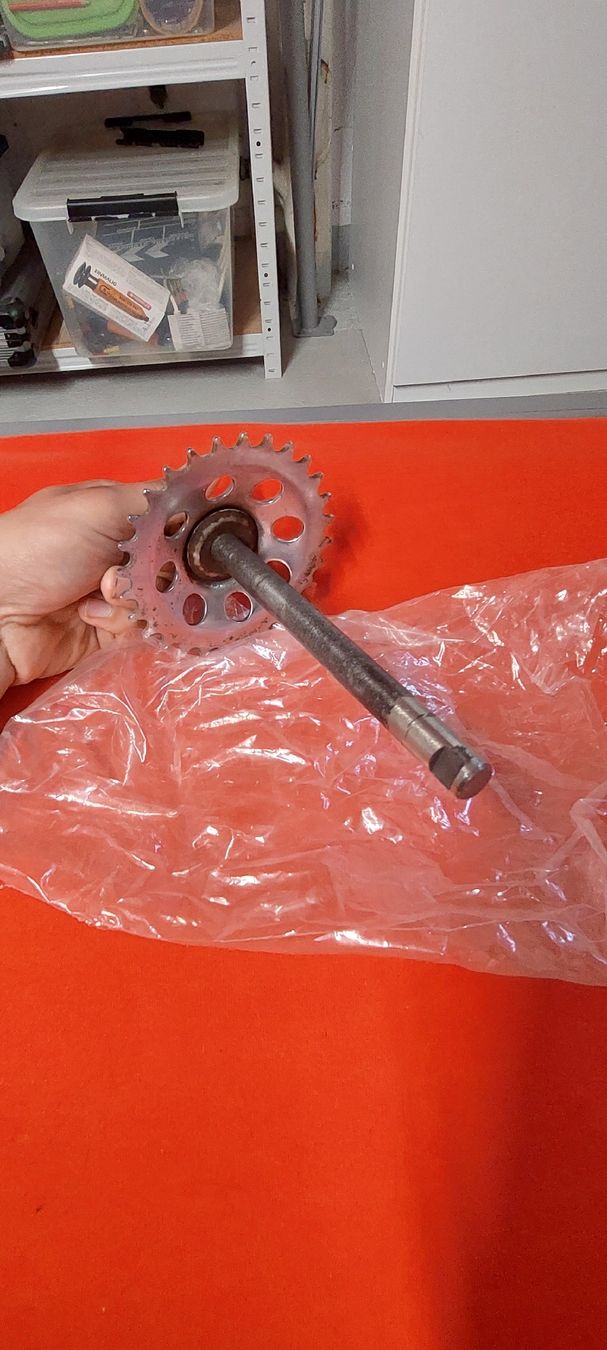 Puch Ciclomotori: Tretachse Puch Maxi – Usato da Schaffhausen venduto da sim_zf5r 1