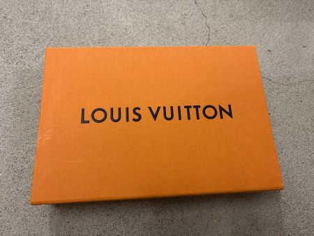 LOUIS VUITTON Karton original Verpackung 30x20 cm