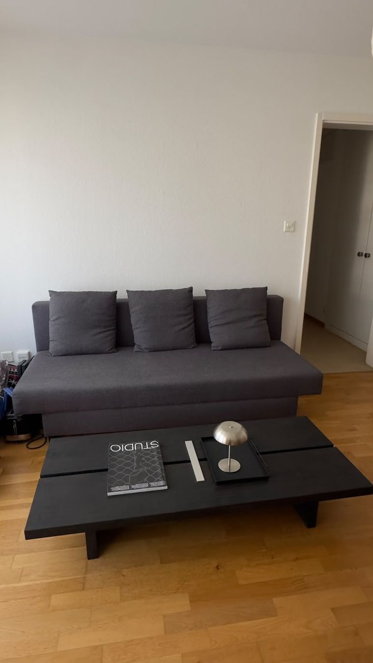 Ikea Sofas: Schlafsofa grau – Gebraucht aus Dübendorf von cedricm1910