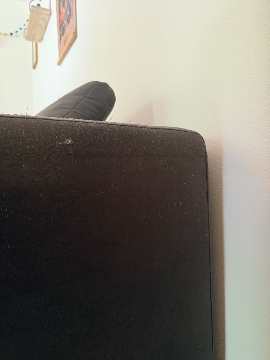 Sofas: Sofa Darwin Micasa – D'occasion à Luzern par LauraLynnMeier 4