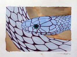 Original-Aquarell "Schlange"