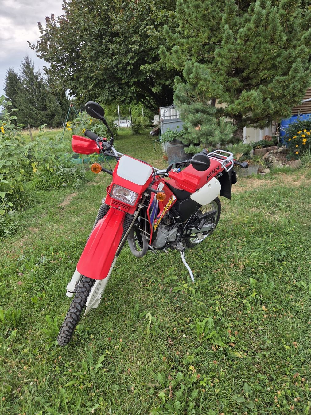 Kawasaki Enduro: Kawasaki KMX 125 – Usato da Vorderthal venduto da flo_r6tv
