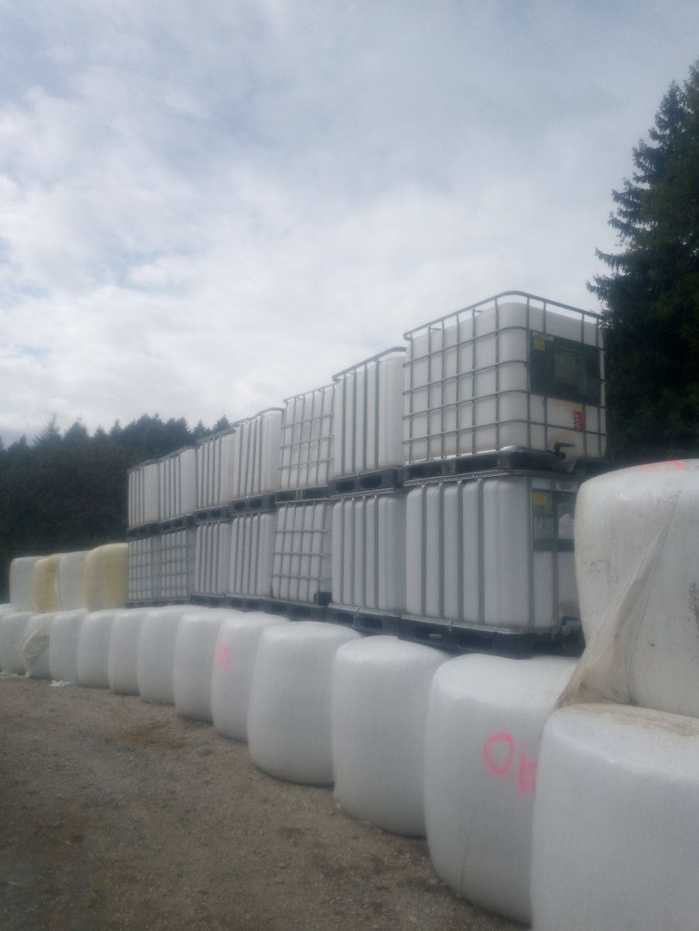 Tränken & Tröge: Tank 1000 Liter IBC – Gebraucht aus Rüttenen von Dart4 4