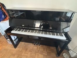 w. Hoffmann Klavier schwarz, gebraucht